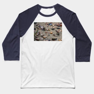 Beach Shells Baseball T-Shirt